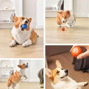 Winter Sale Smart Jumping Ball-Dog Toys