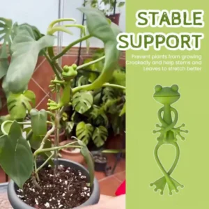 Frog-shaped Plant Holder