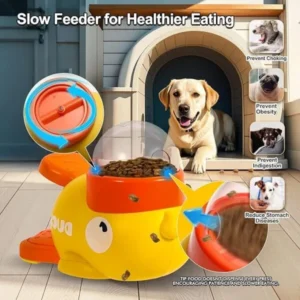 Interactive Slow Feeder for Dogs